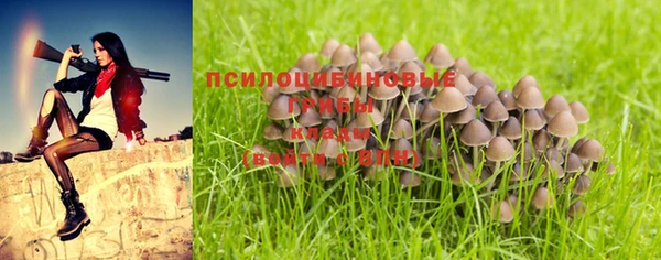дурь Богданович