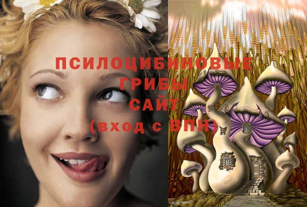 метадон Богородицк