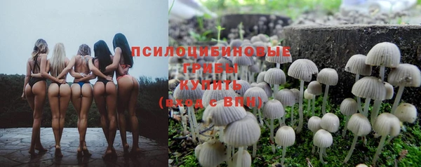 ешки Богородск