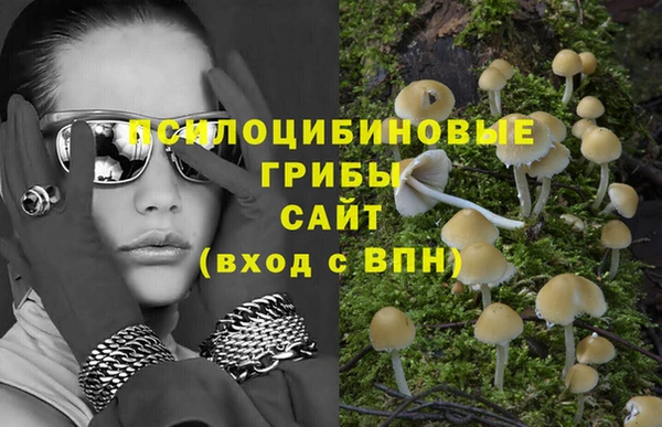 дурь Богданович