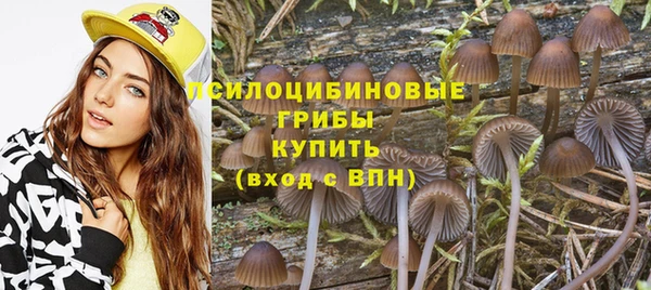 дурь Богданович