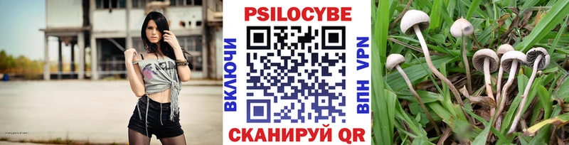 Галлюциногенные грибы Psilocybine cubensis  Верхняя Тура 